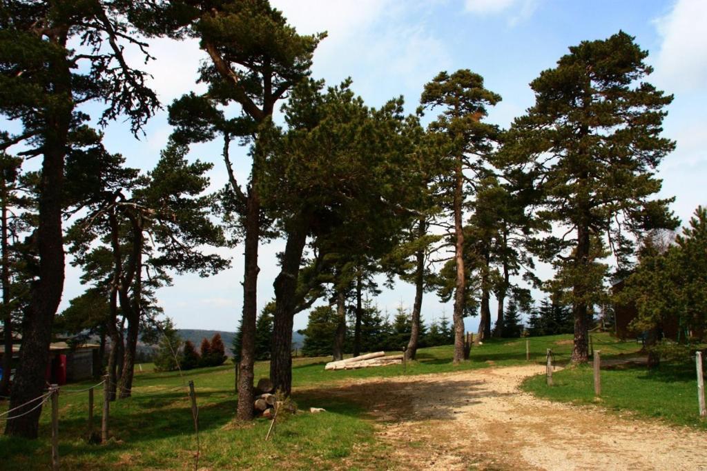 Hotel Le Refuge Mas-d'Orcieres Экстерьер фото